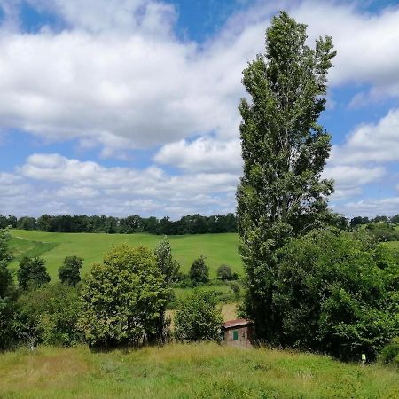 Le Gite Des Colories Salies-de-Béarn Extérieur photo